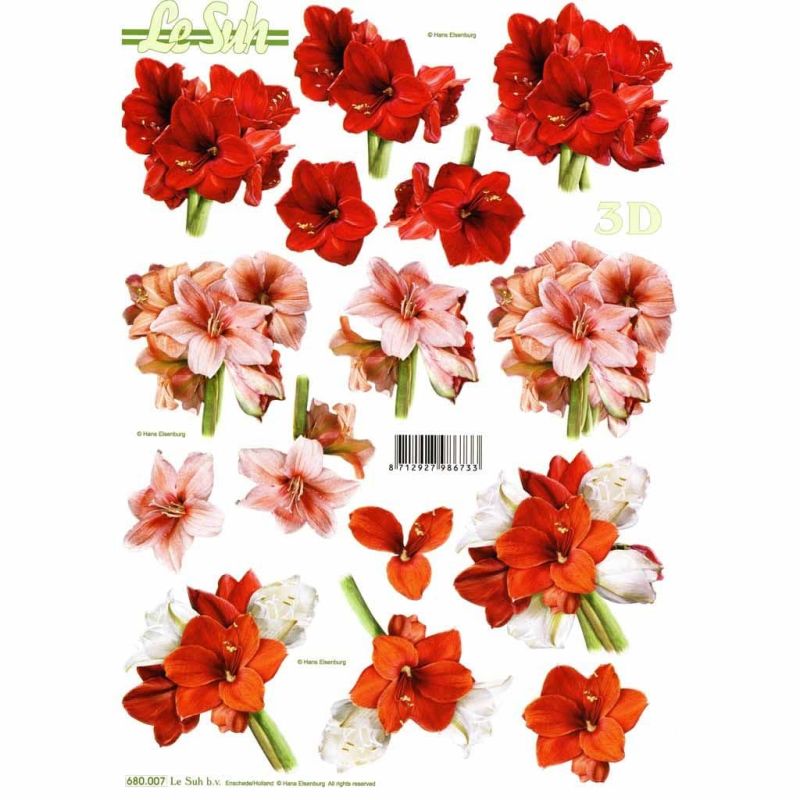 Amaryllis Flowers Die Cut 3d Decoupage Sheet From Le Suh - NO CUTTING