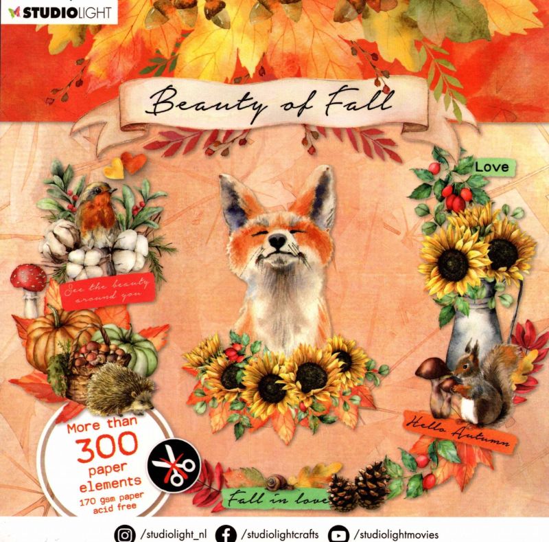 Beauty of Fall Over 300 Paper Elements Pad by Studio Light  (SL-BF-DCB09)