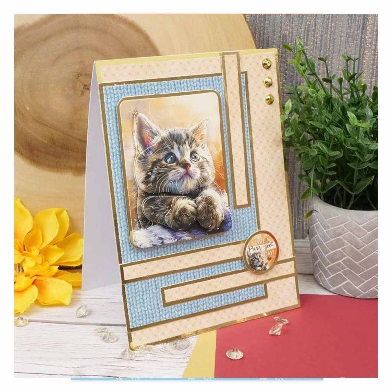 Absolutely Purr-Fect Cat Playful Pals Die Cut 3d Craft Decoupage