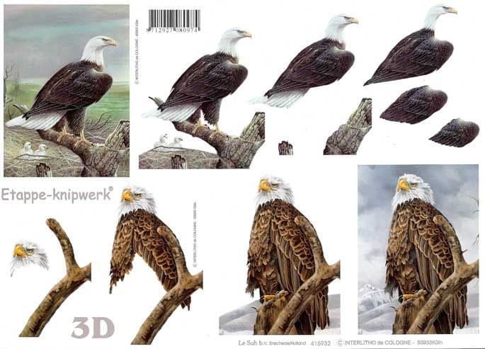 Eagle 3D Step By Step Decoupage Sheet