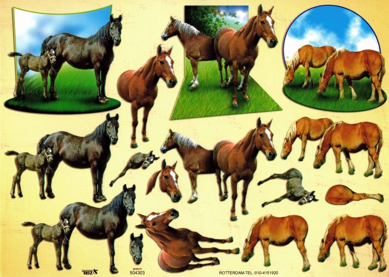 Embossed Horse and Foal Designs 3d Decoupage Sheet