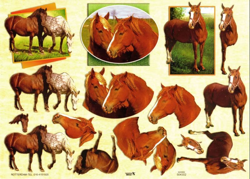 Embossed Horses Designs 3d Decoupage Sheet