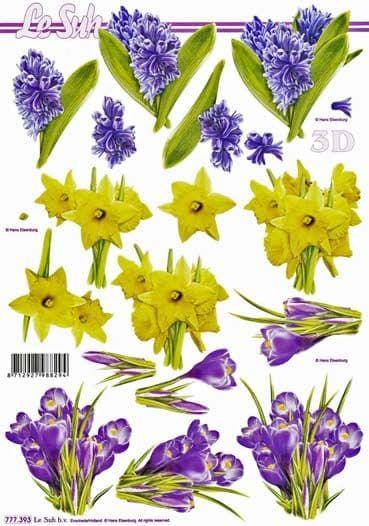 Hyacinth and Daffodil Flowers 3d Decoupage Sheet