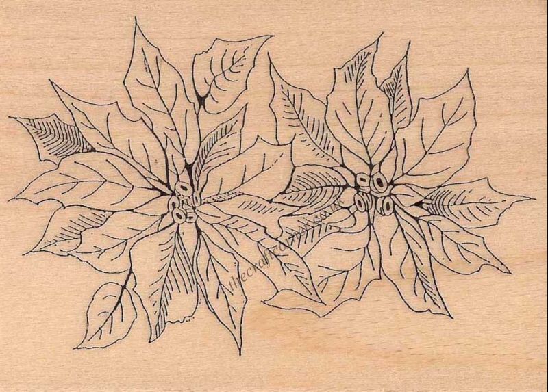 Poinsettia Wood Mounted Rubber Stamp by Creative Expressions