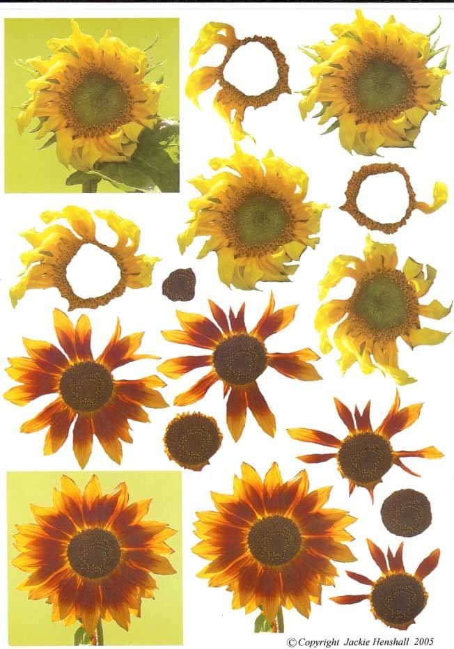 Sunflower 3d Decoupage Sheet