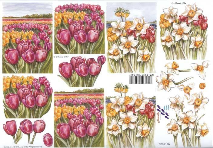 Tulip & Daffodil Flowers In Pots 3d Decoupage Sheet