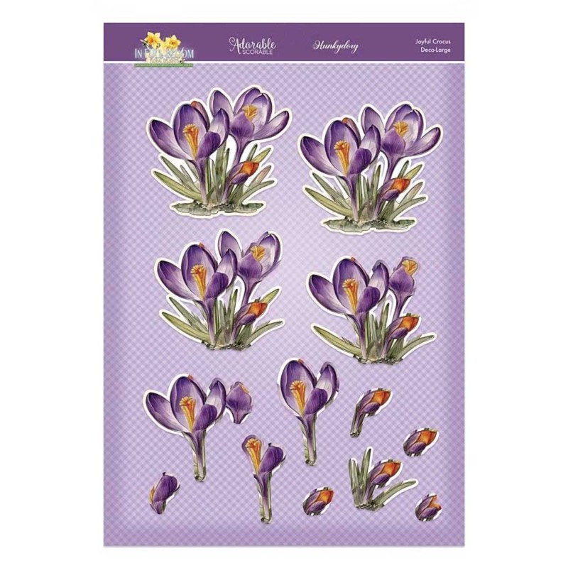 Joyful Crocus In Full Bloom Flower Deco-Large