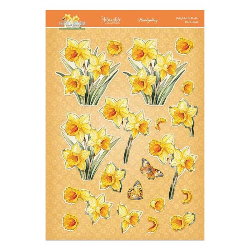 Delightful Daffodils In Full Bloom Flower Dec