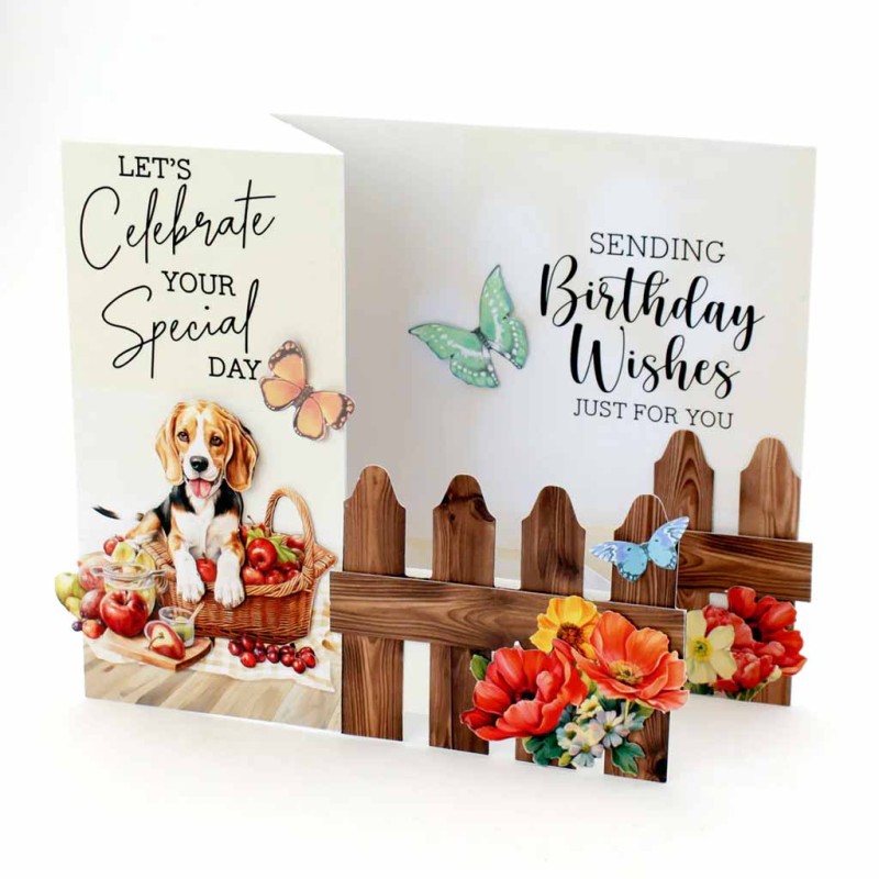 Birthday Verses Transparent Self Adhesive Pri