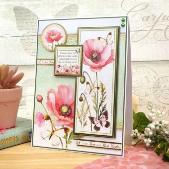 Blushing Blossoms Pretty Poppies Die Cut Luxu