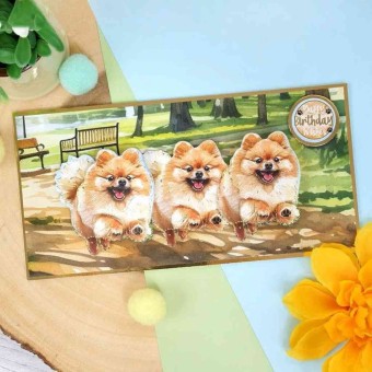 Cavalier King Charles Spaniel & Pomeranian Do