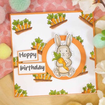 Hopping By Bunny Rabbit Clear Rubber Stamps F