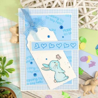 Hopping By Bunny Rabbit Clear Rubber Stamps F