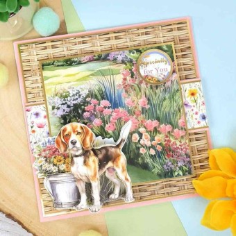 Jack Russell Terrier & Beagle Dog Tales Die C