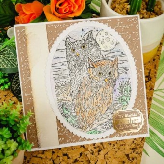 Moonlit Owls Clear Rubber Stamps by Hunkydory