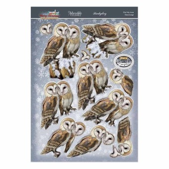 Owl My Love Deco-Large Die Cut 3d Decoupage F