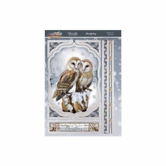 Owl My Love Deco-Large Die Cut 3d Decoupage F