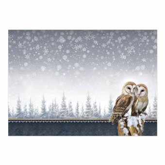 Owl My Love Deco-Large Die Cut 3d Decoupage F