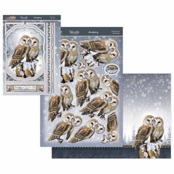 Owl My Love Deco-Large Die Cut 3d Decoupage F