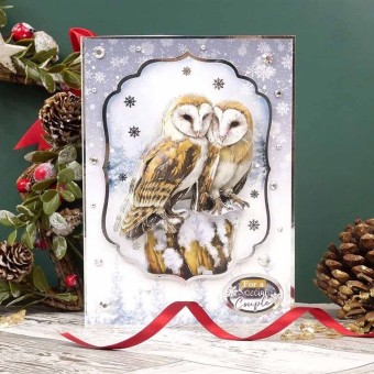 Owl My Love Deco-Large Die Cut 3d Decoupage F