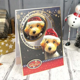 Santa Paws Dog Luxury Paper Craft Die Cut Top