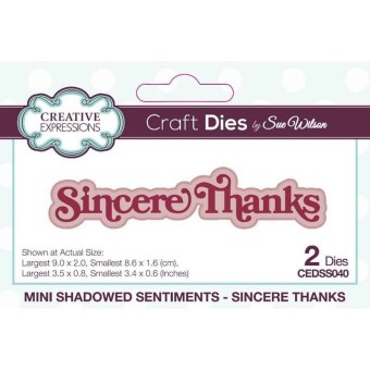 Sincere Thanks Mini Shadowed Sentiment Craft 