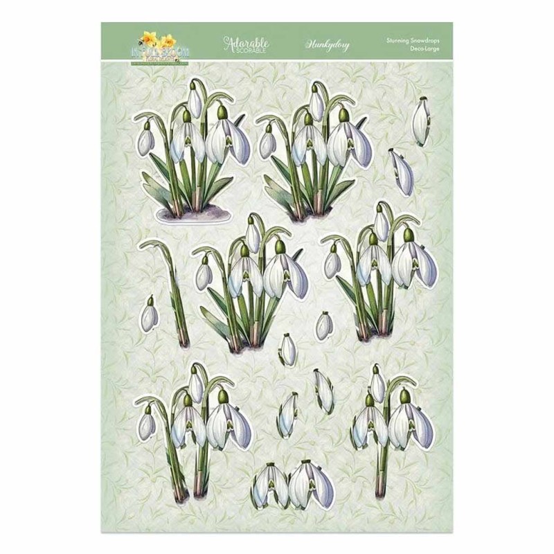 Stunning Snowdrops In Full Bloom Flower Deco-