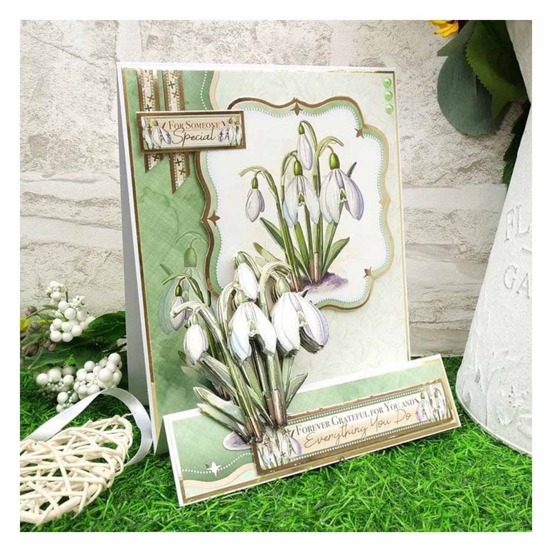 Stunning Snowdrops In Full Bloom Flower Deco-