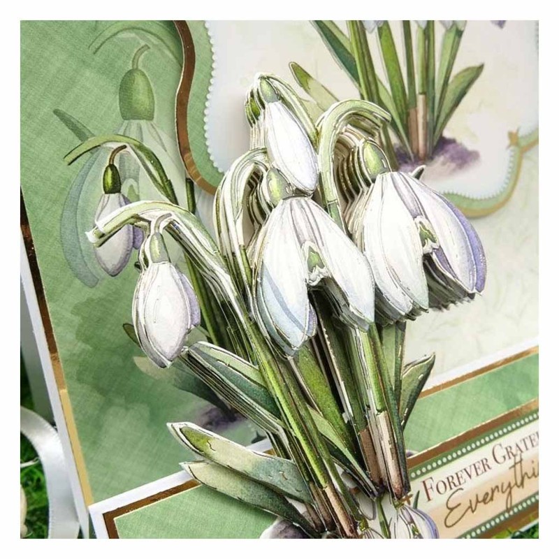 Stunning Snowdrops In Full Bloom Flower Deco-