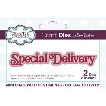 Special Delivery Shadowed Metal Die for Cardm