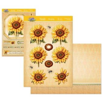 Sunflower Season In Full Bloom Deco-Large Die