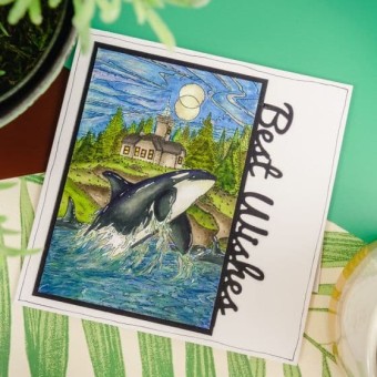 Wonderful Whales Clear Rubber Stamps by Hunky