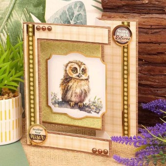 Woodland Wildlife Owl, Bader, Hedgehog & Racc