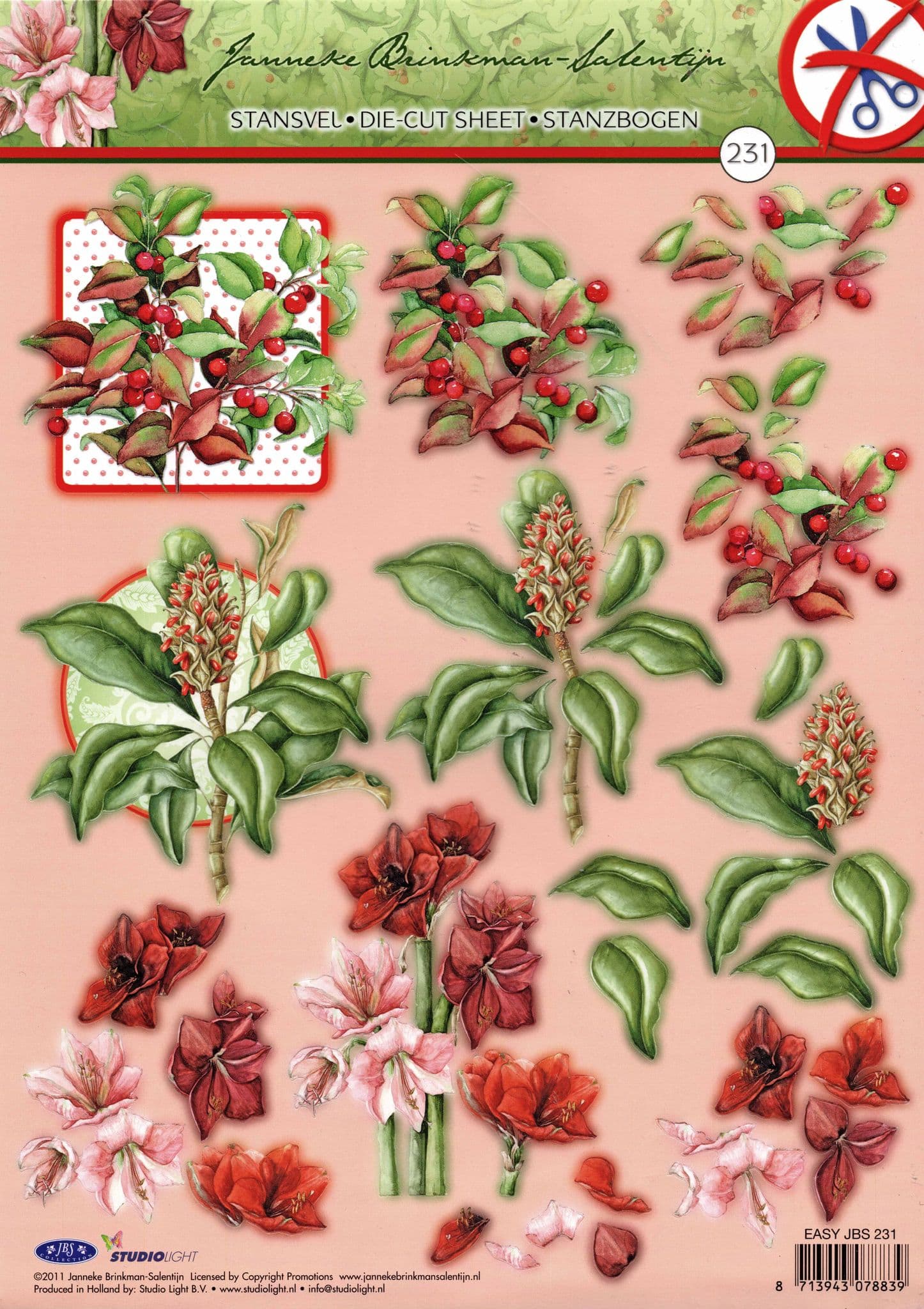 Amaryllis & Winter Berries Designs Die Cut 3d Decoupage Sheet - NO CUTTING