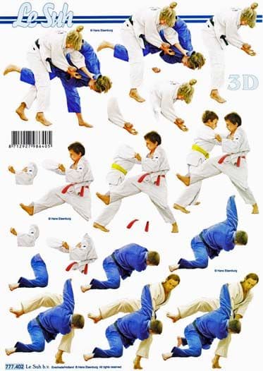 Martial Arts 3d Decoupage Sheet