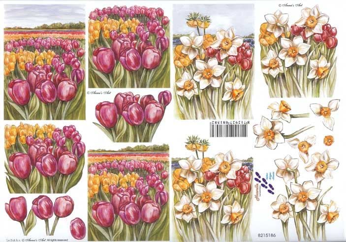 Tulip & Daffodil Flowers In Pots 3d Decoupage Sheet